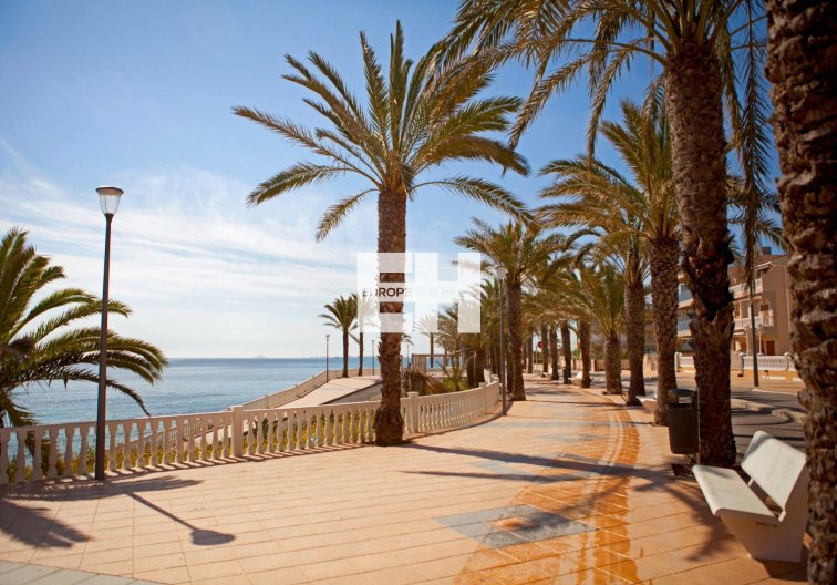 Revente - Appartement - Pilar de la Horadada - Torre de la Horadada