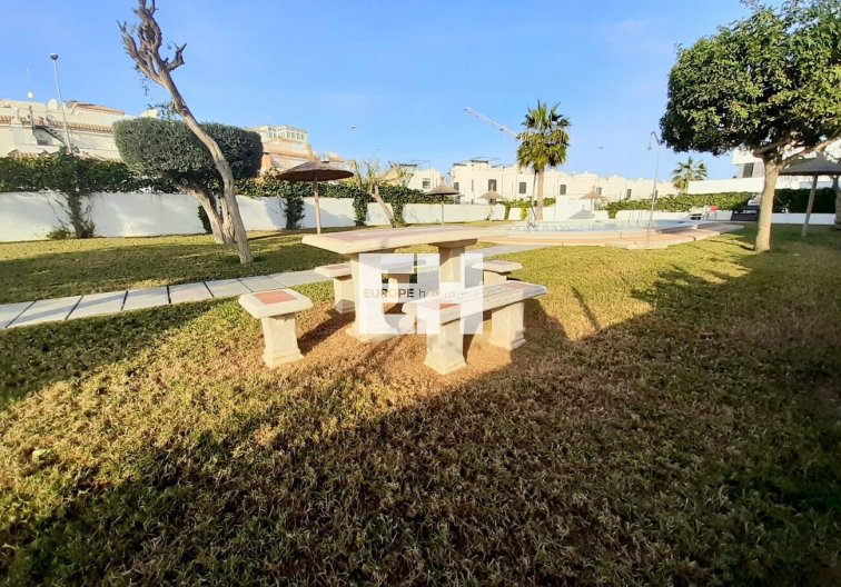 Segunda mano - Semi Detached - Orihuela Costa - pau26