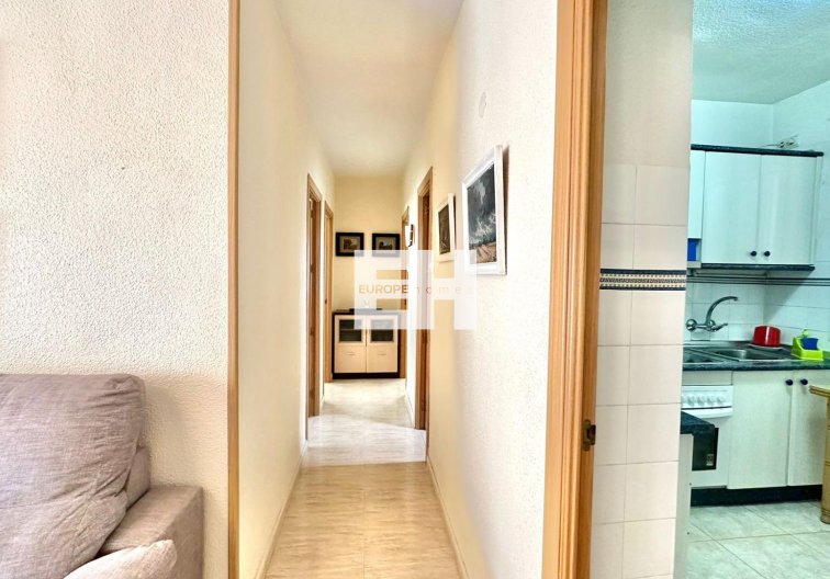 Segunda mano - Apartamento  - Torrevieja - Estacion De Autobuses