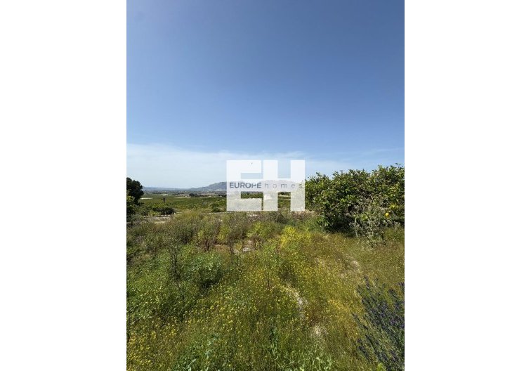 Segunda mano - Finca - Orihuela - Arneva