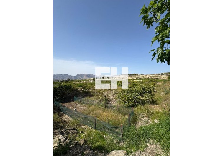 Segunda mano - Finca - Orihuela - Arneva