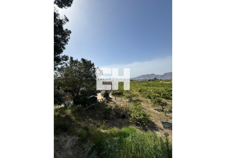 Segunda mano - Finca - Orihuela - Arneva