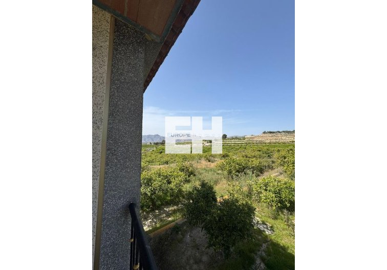 Segunda mano - Finca - Orihuela - Arneva