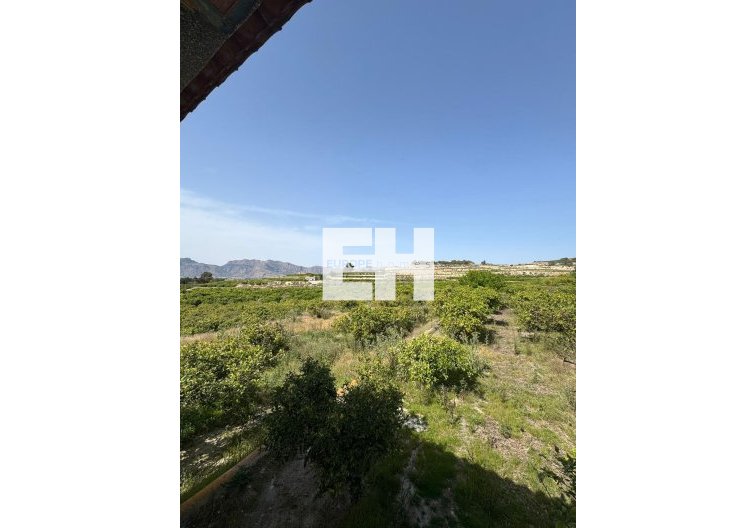 Segunda mano - Finca - Orihuela - Arneva