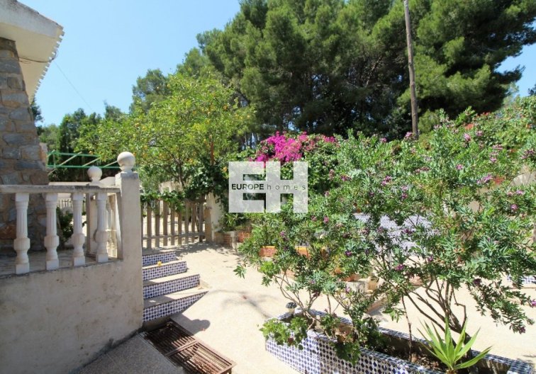Segunda mano - villa - Torrevieja - Los Balcones 