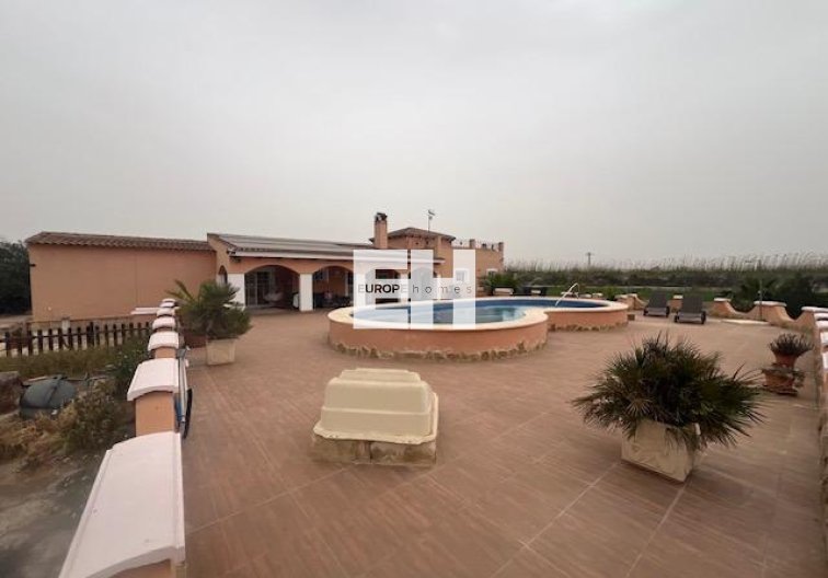 Segunda mano - Finca - Dolores - Comunidad Valenciana