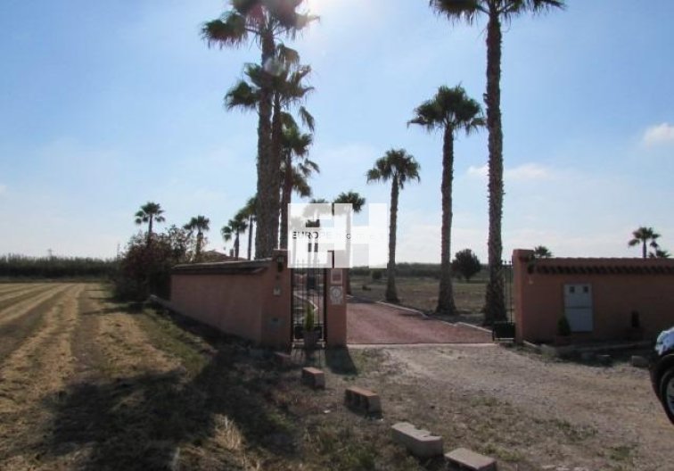 Segunda mano - Finca - Dolores - Comunidad Valenciana