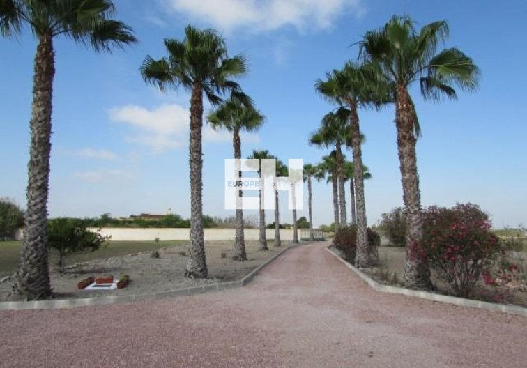 Segunda mano - Finca - Dolores - Comunidad Valenciana