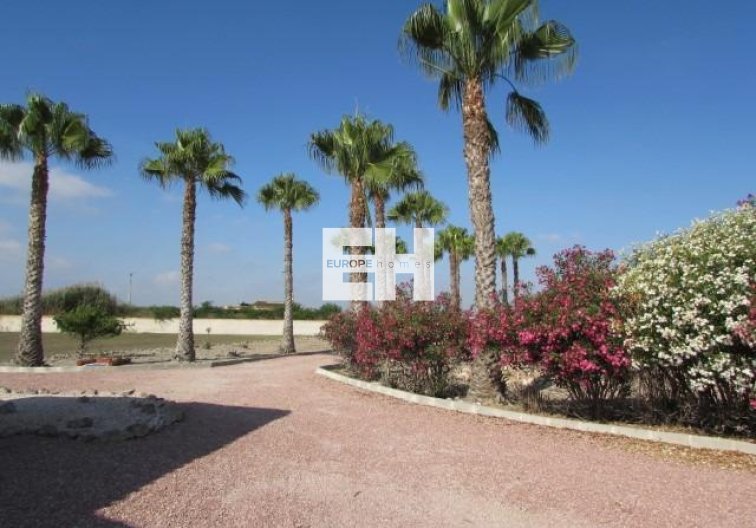 Segunda mano - Finca - Dolores - Comunidad Valenciana