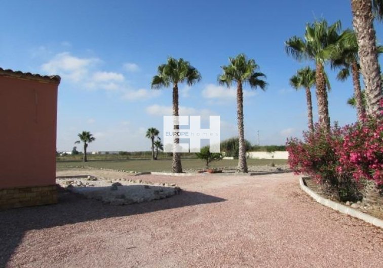 Segunda mano - Finca - Dolores - Comunidad Valenciana