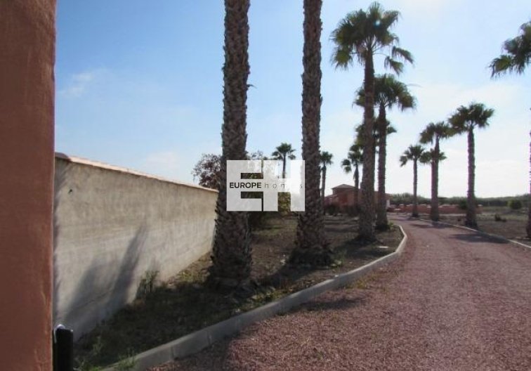 Segunda mano - Finca - Dolores - Comunidad Valenciana