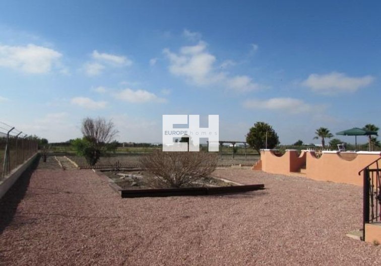 Segunda mano - Finca - Dolores - Comunidad Valenciana