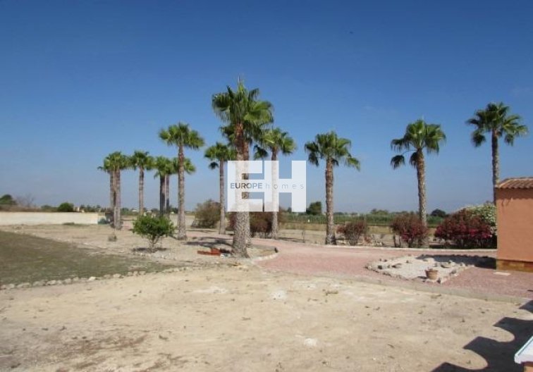 Segunda mano - Finca - Dolores - Comunidad Valenciana
