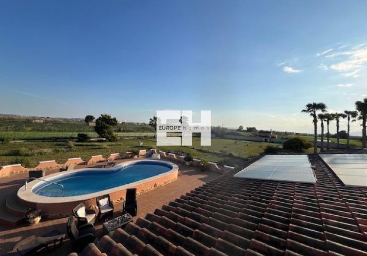 Segunda mano - Finca - Dolores - Comunidad Valenciana