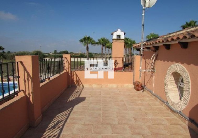 Segunda mano - Finca - Dolores - Comunidad Valenciana