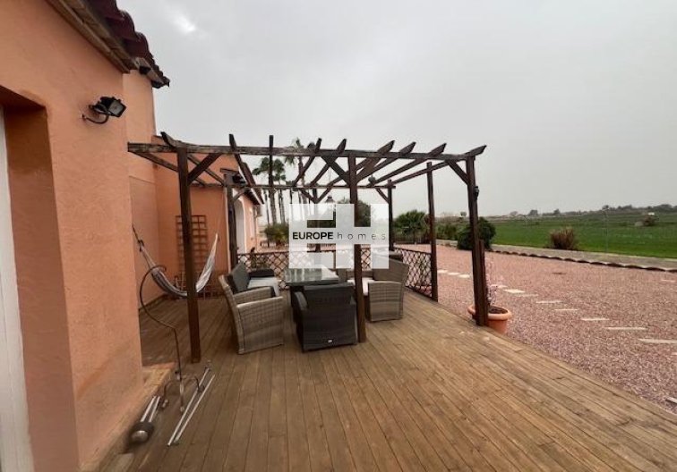 Segunda mano - Finca - Dolores - Comunidad Valenciana