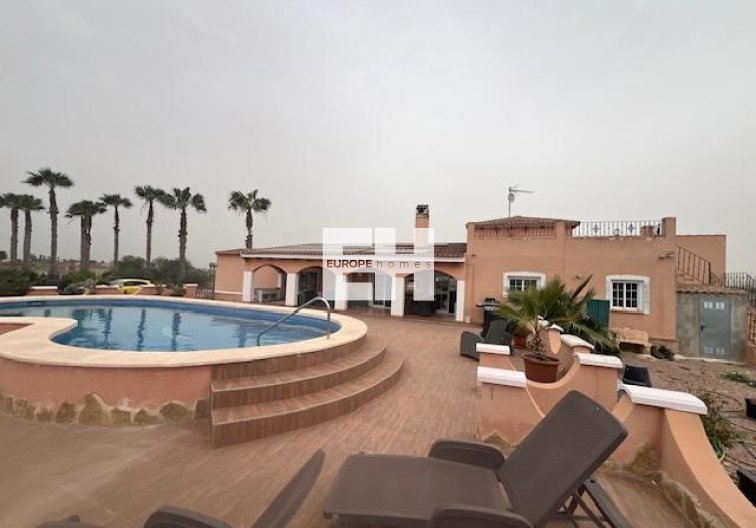 Segunda mano - Finca - Dolores - Comunidad Valenciana