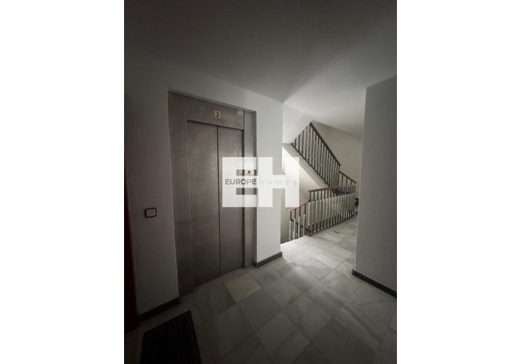 Segunda mano - Apartamento  - Orihuela - Zona Centro