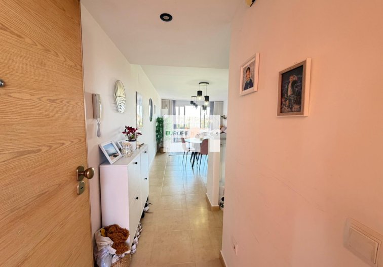 Segunda mano - Apartamento  - Torre Pacheco - Inland