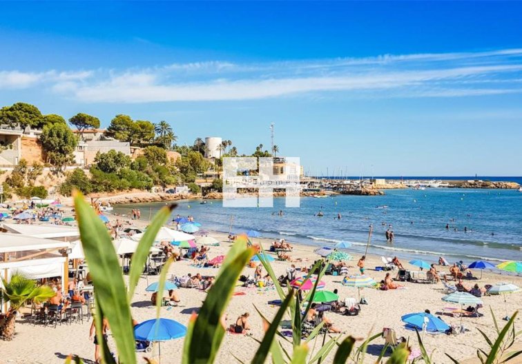 Segunda mano - Apartamento  - Villamartin - Costa Blanca