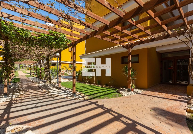 Segunda mano - Apartamento  - Torrevieja - Costa Blanca