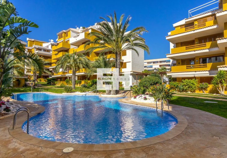 Segunda mano - Apartamento  - Torrevieja - Costa Blanca