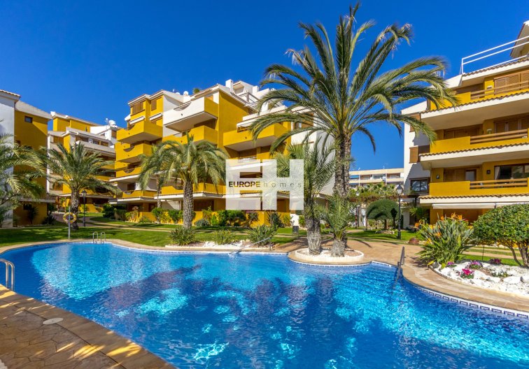 Segunda mano - Apartamento  - Torrevieja - Costa Blanca