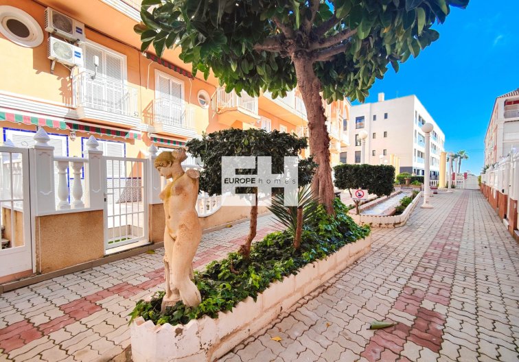 Revente - Penthouse - Torrevieja - Costa Blanca