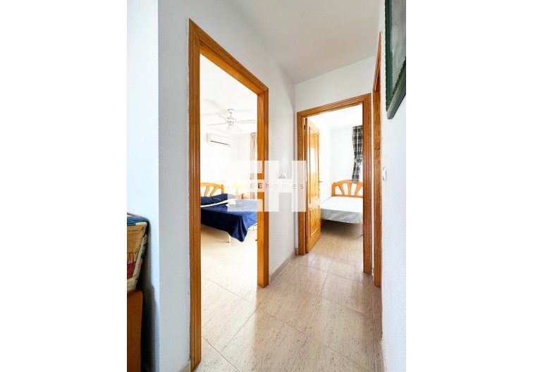 Revente - Bungalow - San Miguel de Salinas - Inland