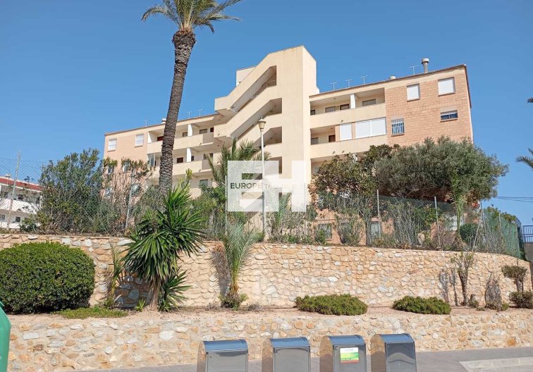 Revente - Appartement - Mil Palmeras - Costa Blanca