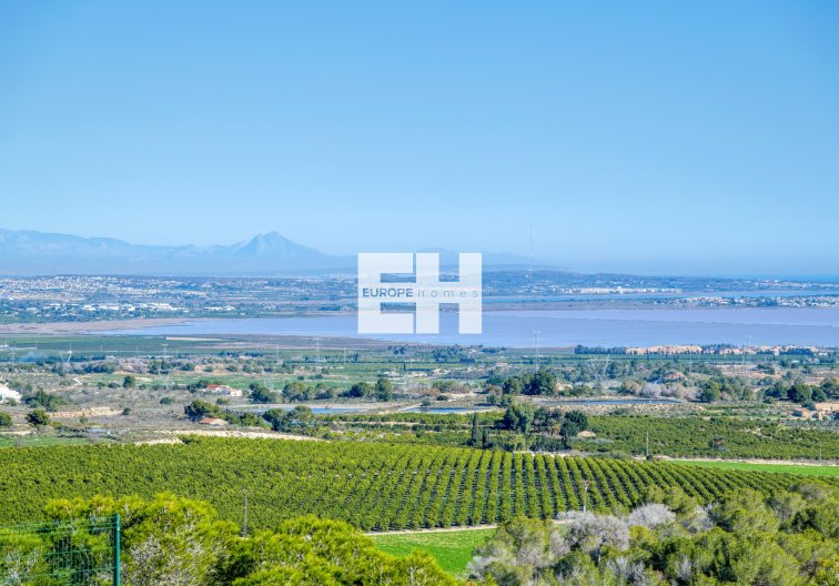 Segunda mano - villa - San Miguel de Salinas - Inland