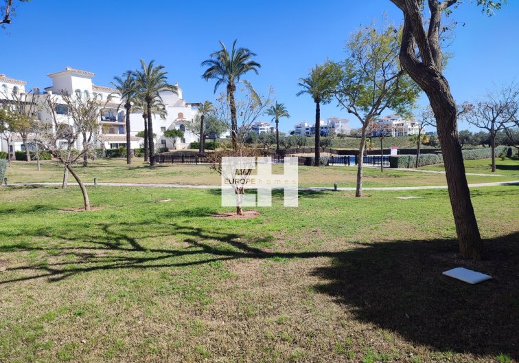 Revente - Appartement - Hacienda Riquelme Golf Resort - Inland