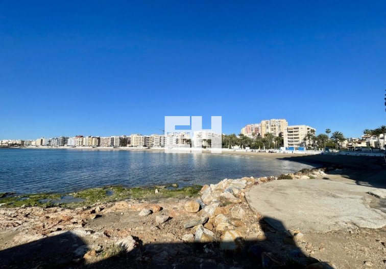 Segunda mano - Apartamento  - Torrevieja - Costa Blanca