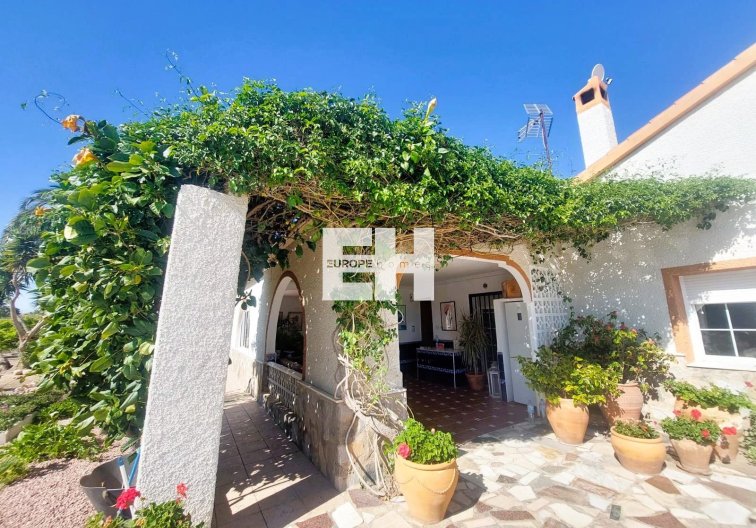 Segunda mano - Finca - La Marina - Costa Blanca