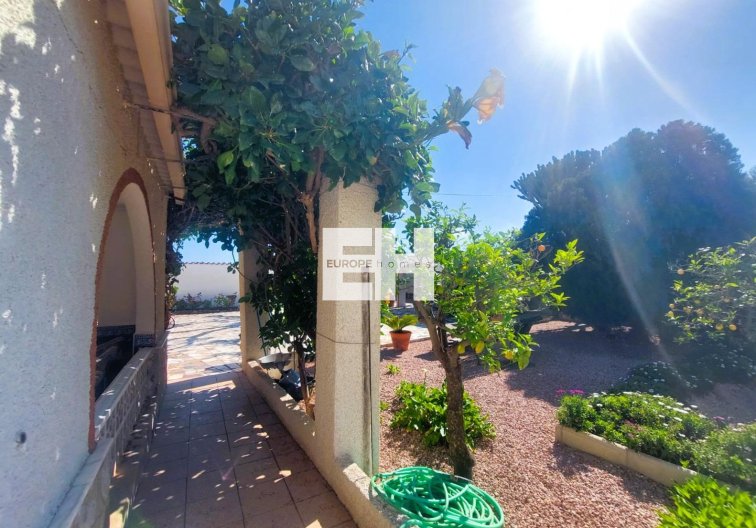 Segunda mano - Finca - La Marina - Costa Blanca