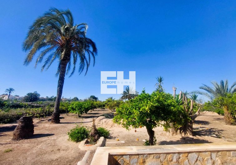 Segunda mano - Finca - La Marina - Costa Blanca