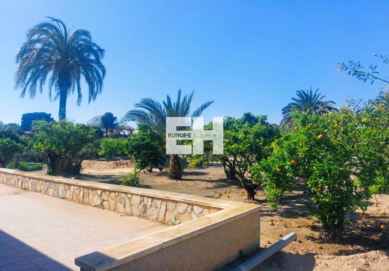 Segunda mano - Finca - La Marina - Costa Blanca