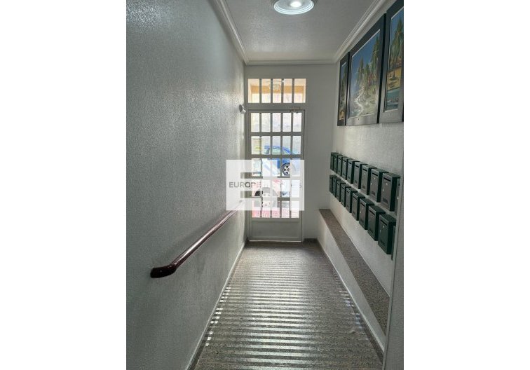 Segunda mano - Apartamento  - Torrevieja - Centro