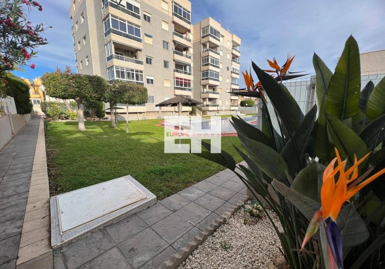 Segunda mano - Apartamento  - Torrevieja - Aguas Nuevas