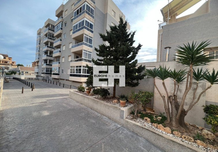 Segunda mano - Apartamento  - Torrevieja - Aguas Nuevas