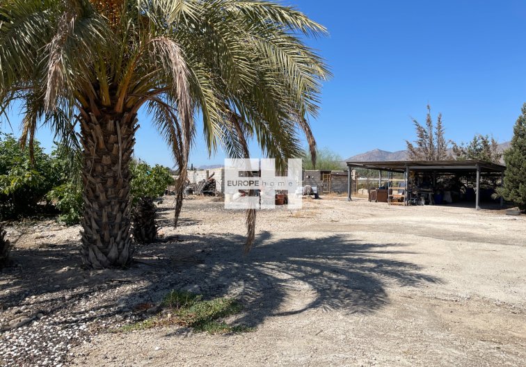 Segunda mano - villa - Crevillent - Inland