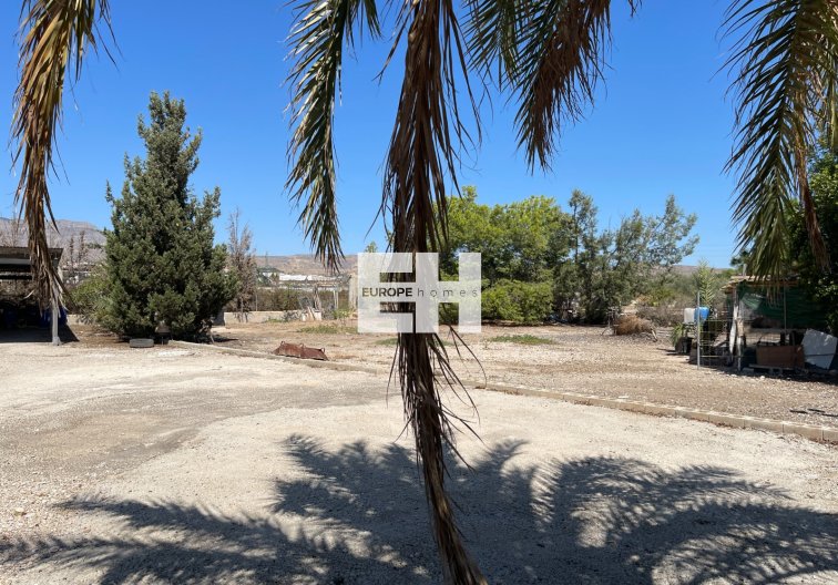 Segunda mano - villa - Crevillent - Inland