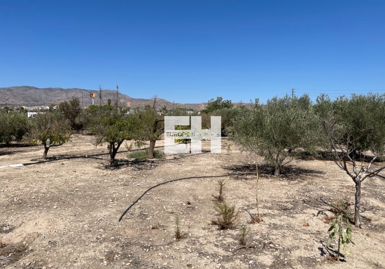Segunda mano - villa - Crevillent - Inland
