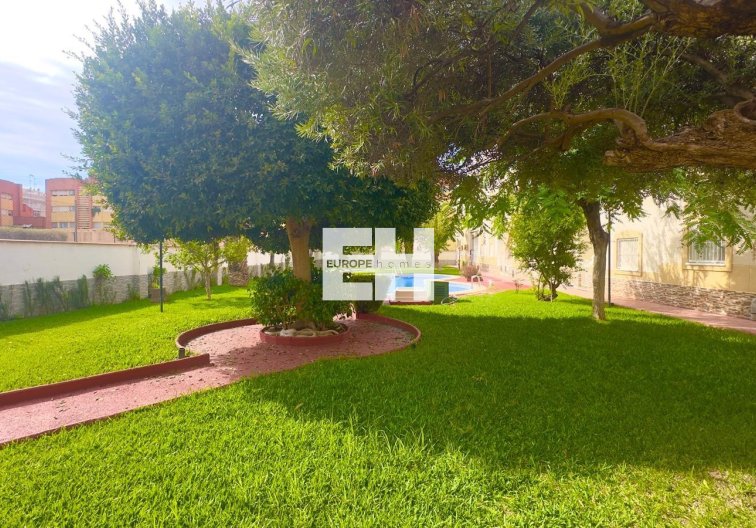Segunda mano - Atico - Torrevieja - Estacion De Autobuses