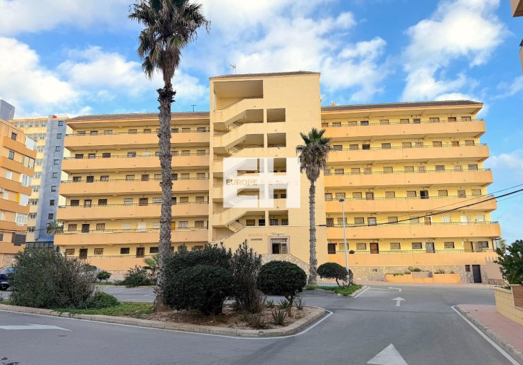 Segunda mano - Apartamento  - Torrevieja - Cabo Cervera