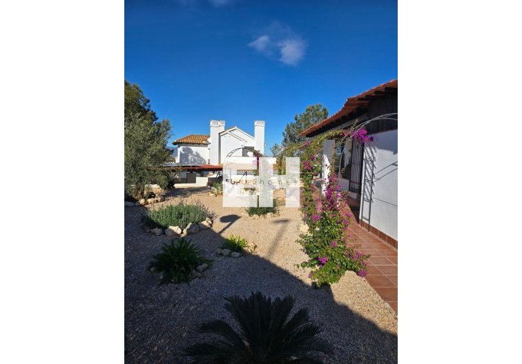 Segunda mano - villa - Fuente Álamo - Inland