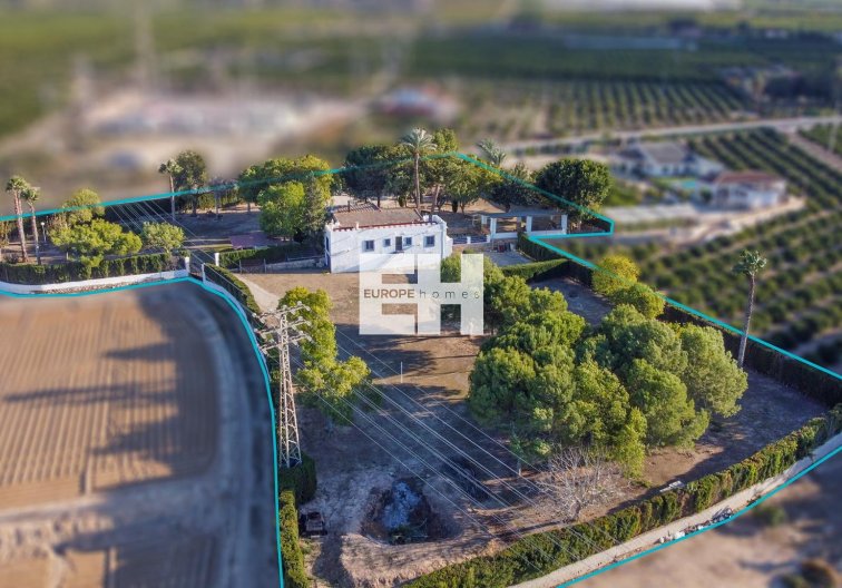 Segunda mano - villa - Orihuela