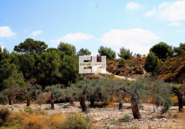 Segunda mano - Finca - Murcia - Inland