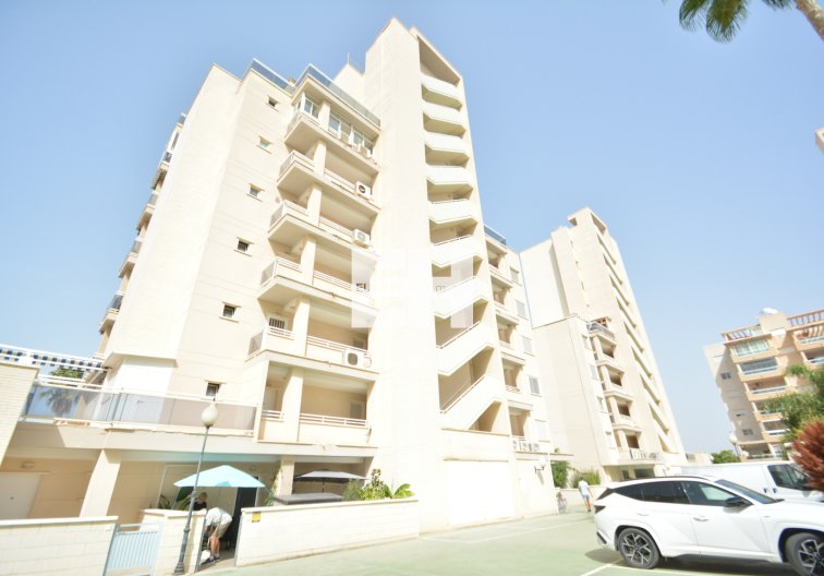 Segunda mano - Apartamento  - Guardamar del Segura - Costa Blanca