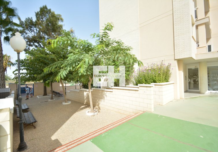 Segunda mano - Apartamento  - Guardamar del Segura - Costa Blanca